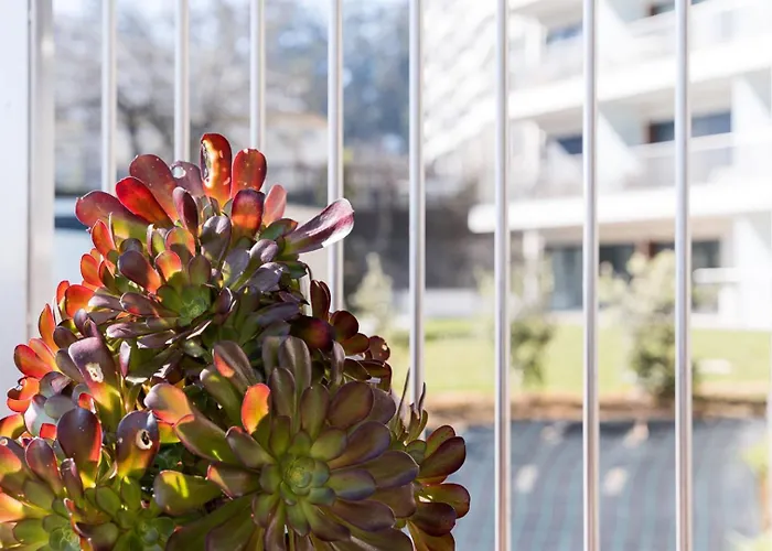 Guestready - Ideal Near Estadio Do Dragao