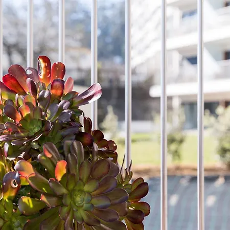 Guestready - Ideal Near Estadio Do Dragao